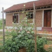 FARM STEAD AT ATHIMENJERI, TIRUTANNI